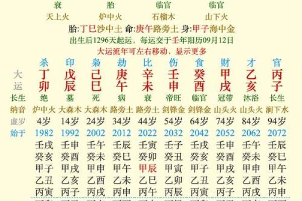 纯合命的定义与特征：如何影响个人命运