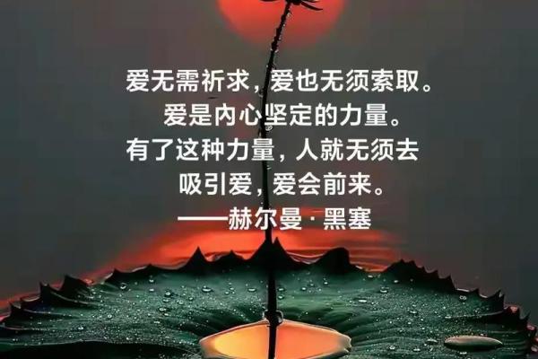 纯合命的定义与特征：如何影响个人命运
