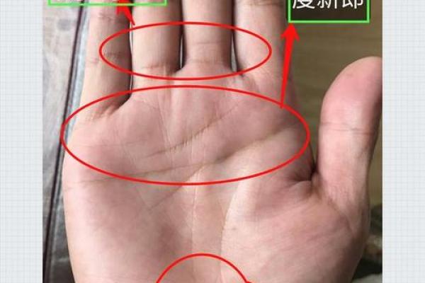 手相揭秘：掌纹背后的生活运势和心理特征