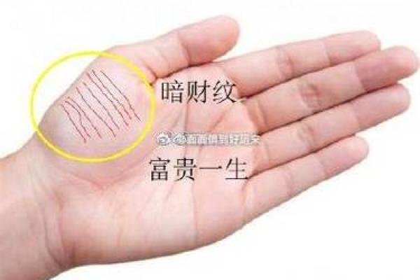 手相揭秘：掌纹背后的生活运势和心理特征