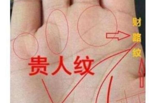 富贵命的手相特点揭秘