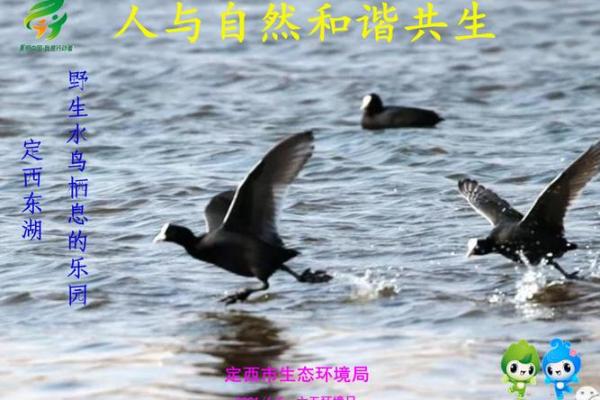 屋场风水与周围环境的和谐共生