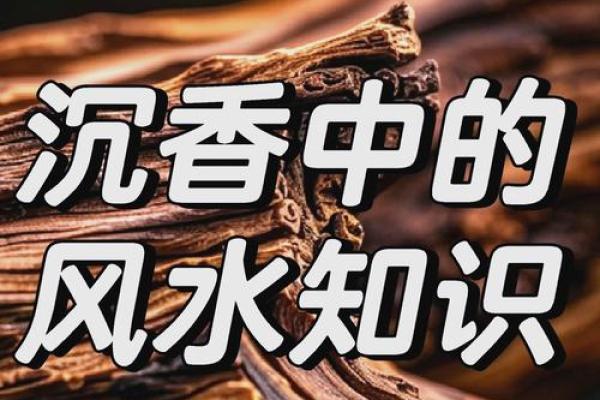 屋场风水与周围环境的和谐共生