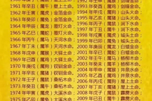 了解火命：五行中火的能量与象征