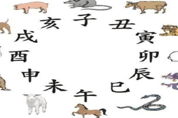 天干地支与生肖的神秘关系解读