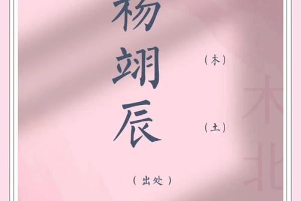杨姓宝宝取名的独特技巧与建议