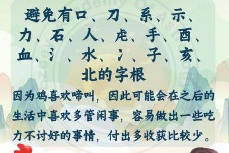 生肖鸡宝宝起名灵感与寓意分析