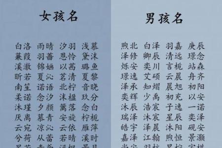 探寻宝宝名字中的文化象征与历史典故