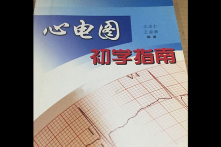 手相自学指南：从基础到进阶的全方位解析