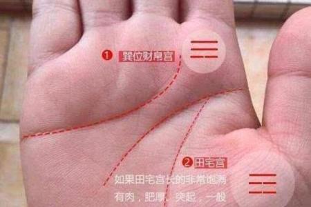 手相十斗与命运的关系：揭开掌纹背后的神秘力量
