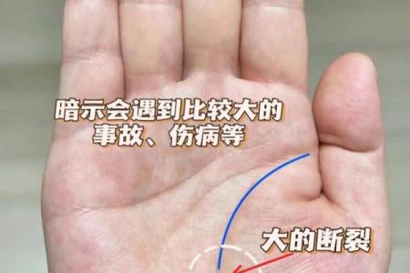 通过手相看智慧，掌控未来