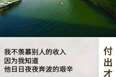 揭开勤劳命的真相：努力与运气的博弈