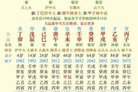 纯合命的定义与特征：如何影响个人命运
