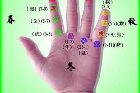 右手疼痛与风水的关系及调整建议