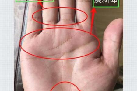 手相揭秘：掌纹背后的生活运势和心理特征