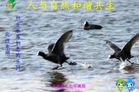 屋场风水与周围环境的和谐共生
