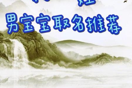 杨姓宝宝取名的独特技巧与建议