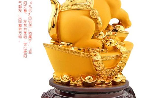 探秘风水对卖狗生意的影响及布局技巧