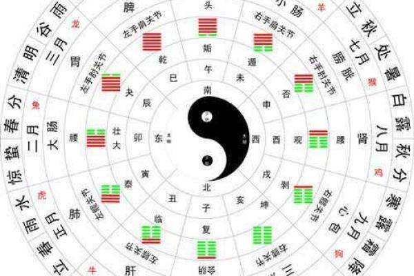 天干癸水的象征意义与五行调和探析