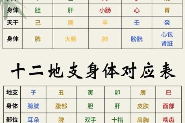 天干癸水的象征意义与五行调和探析