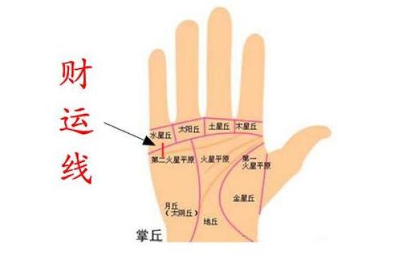 什么样的手型代表富贵命运