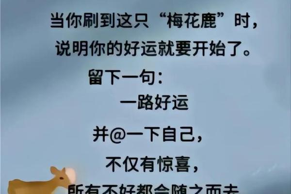 命利双收的秘密：如何在生活中获得好运与财富的双重回报