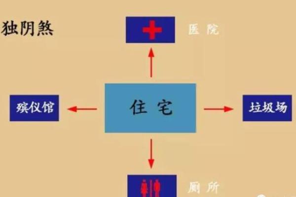 打造理想城市住宅：风水角度的实用指南