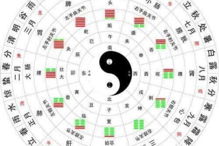 天干癸水的象征意义与五行调和探析