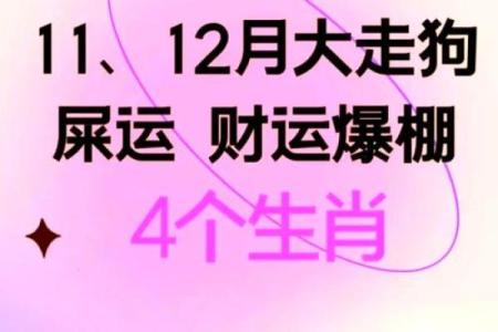 为宝宝起个吉利又有趣的鸡年名字建议