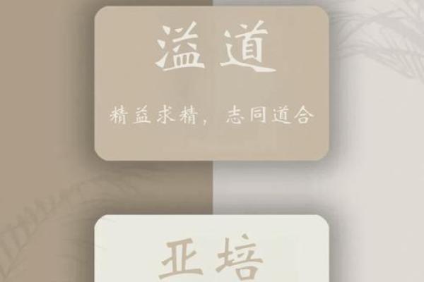 如何为影视传媒公司起一个独特且有吸引力的名字
