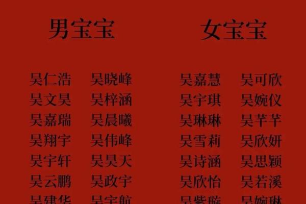 为吴宝宝男孩起名：传统与现代的完美结合