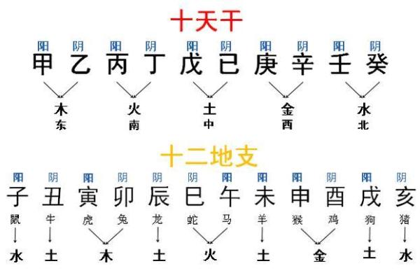 天干记年法的起源与应用解析
