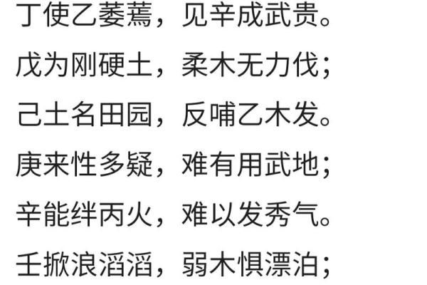 天干丙的喜忌分析与应用技巧