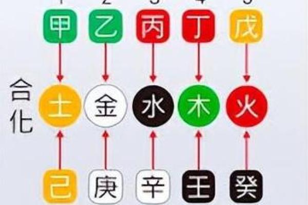 如何理解天干合的人在命理中的重要性