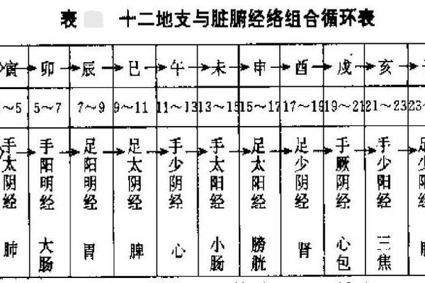 天干地支如何助力运势解析
