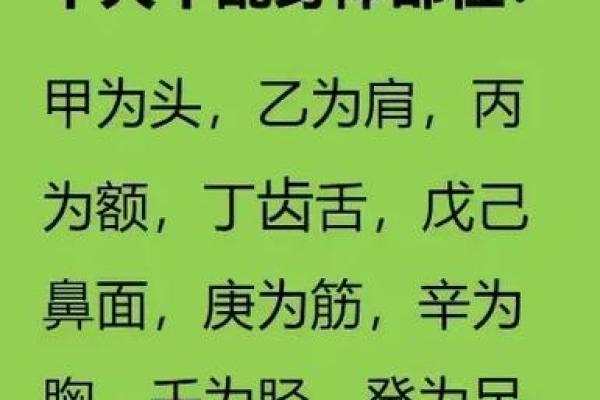 如何通过十天干分析个人命运