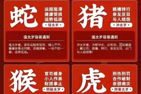 天干地支如何助力运势解析