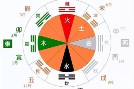 天干地支配合中的阴阳调和技巧