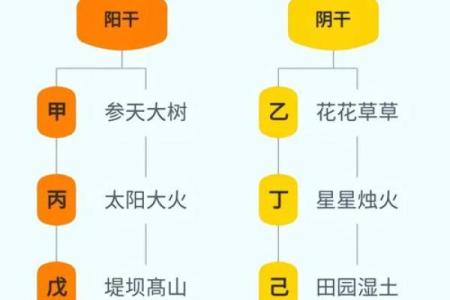 天干与身体部位的神秘关联解析