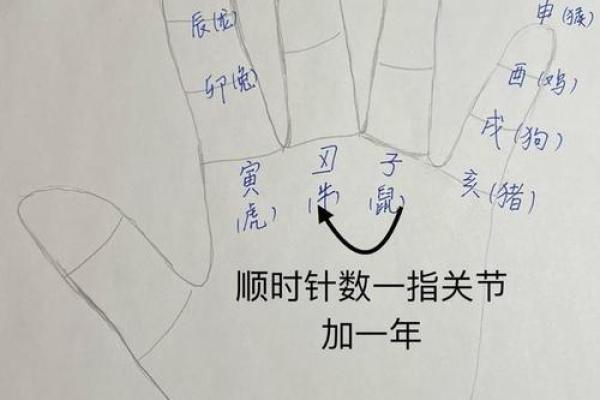 你手掌中的天干位置，竟然藏着这些秘密