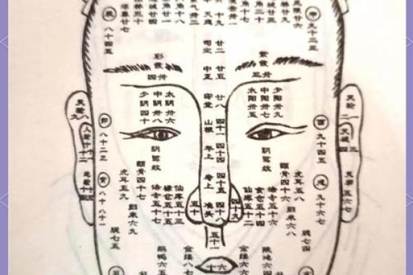 揭秘面相鼻孔的奥秘：财运、健康尽在掌握