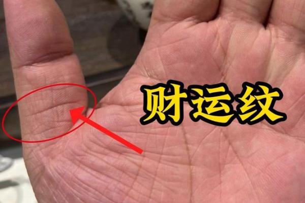 手相盈的秘密：揭秘手相中隐藏的财富运势