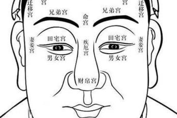 豪宅面相：揭秘财富与福气的秘密密码
