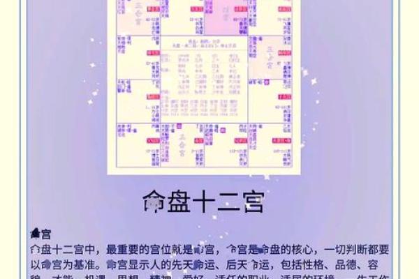 深入解读紫微排盘事业宫：助你实现职业梦想的命理秘籍