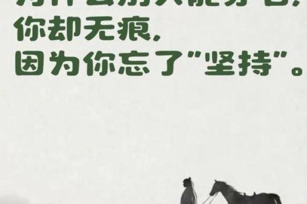 掌握命理运势，在线大师为你定制专属人生指南