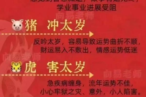玉辇风华，门楼风水揭秘：财运亨通，福地吉祥
