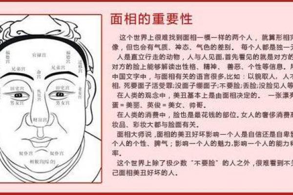 识人于面，面相揭秘：一眼看穿命运的秘密