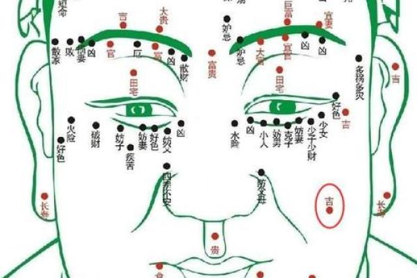 痣相传说：揭秘痣相背后的神秘力量与命运联系
