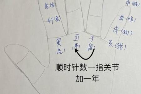你手掌中的天干位置，竟然藏着这些秘密