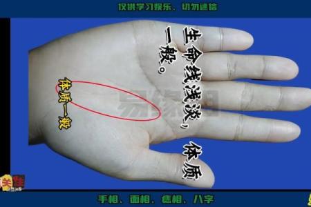 手无骨的秘密：揭秘手相中的神秘力量